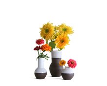 Load image into Gallery viewer, Vase Bundle